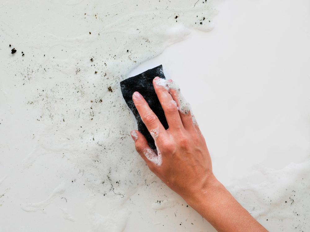 Remove All Visible Mold