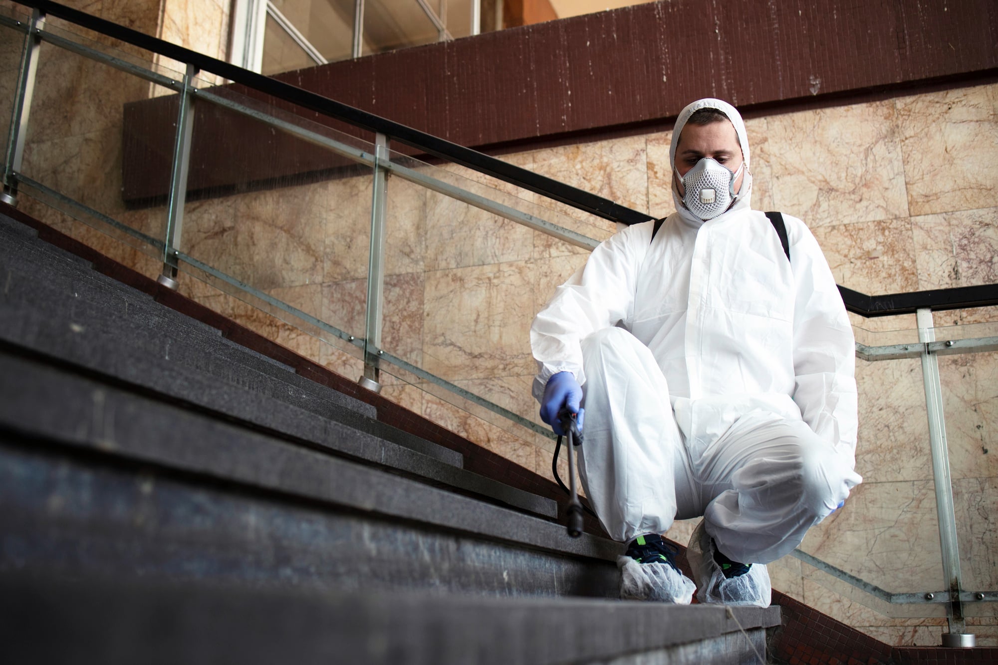 Portland Mold Solutions | Affordable, Guaranteed Mold Removal in Portland & Vancouver