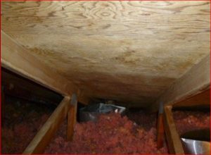 Attic After Mold Removal