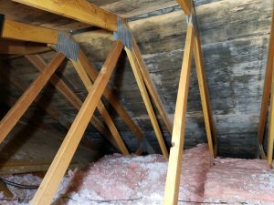 Attic Before Mold Removal