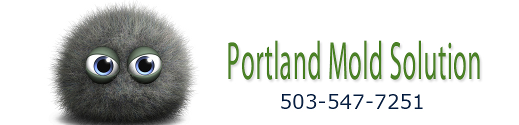 Portland Mold Solution